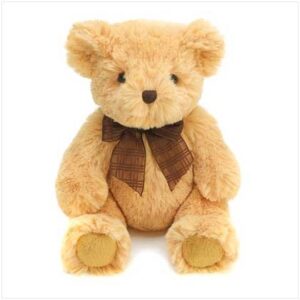 Teddy Bear (will vary)